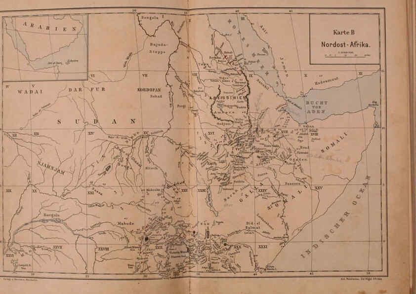Reproducción/Reproduction 6425129553: Die Vögel Afrikas. atlas. Neudamm,J. Neumann,1900-05