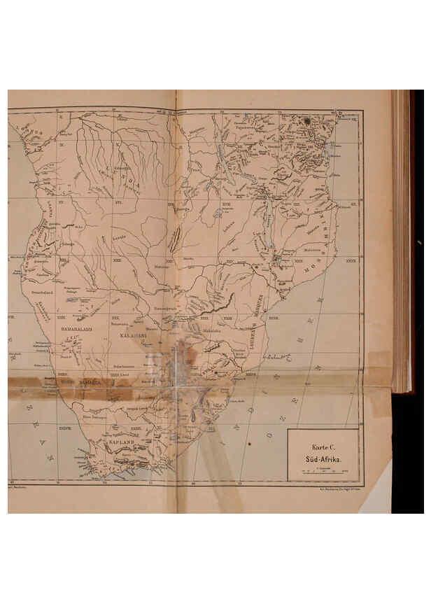 Reproducción/Reproduction 6425130193: Die Vögel Afrikas. atlas. Neudamm,J. Neumann,1900-05