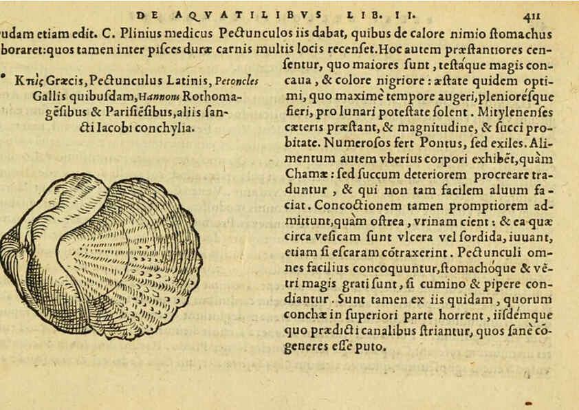 Reproducción/Reproduction 6418736627: Petri Bellonii Cenomani De aquatilibus, libri duo cum [epsilon, iota] conibus ad viuam ipsorum effigiem, quoad eius fieri potuit, expressis ... Parisiis,Apud C. Stephanum,1553