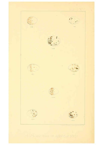 Reproducción/Reproduction 6424701867: Nests and eggs of American birds.Parts 1-7. Salem, Mass.,S.E. Cassino[c1880] 