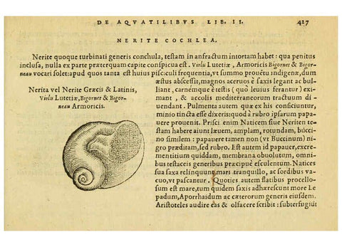 Reproducción/Reproduction 6418738715: Petri Bellonii Cenomani De aquatilibus, libri duo cum [epsilon, iota] conibus ad viuam ipsorum effigiem, quoad eius fieri potuit, expressis ... Parisiis,Apud C. Stephanum,1553