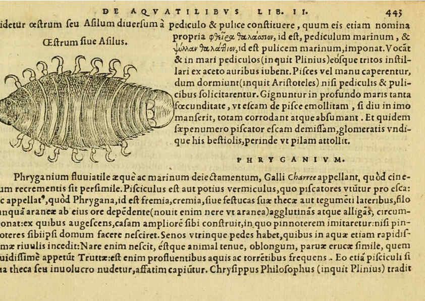 Reproducción/Reproduction 6418740121: Petri Bellonii Cenomani De aquatilibus, libri duo cum [epsilon, iota] conibus ad viuam ipsorum effigiem, quoad eius fieri potuit, expressis ... Parisiis,Apud C. Stephanum,1553