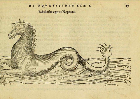 Reproducción/Reproduction 6418673447: Petri Bellonii Cenomani De aquatilibus, libri duo cum [epsilon, iota] conibus ad viuam ipsorum effigiem, quoad eius fieri potuit, expressis ... Parisiis,Apud C. Stephanum,1553