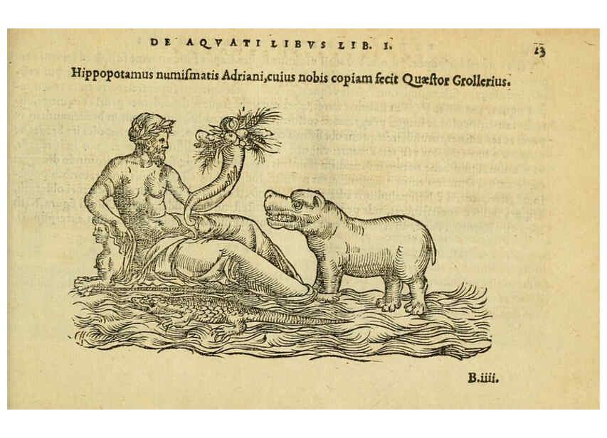 Reproducción/Reproduction 6418672461: Petri Bellonii Cenomani De aquatilibus, libri duo cum [epsilon, iota] conibus ad viuam ipsorum effigiem, quoad eius fieri potuit, expressis ... Parisiis,Apud C. Stephanum,1553