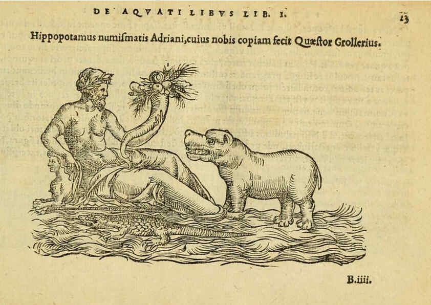 Reproducción/Reproduction 6418672461: Petri Bellonii Cenomani De aquatilibus, libri duo cum [epsilon, iota] conibus ad viuam ipsorum effigiem, quoad eius fieri potuit, expressis ... Parisiis,Apud C. Stephanum,1553
