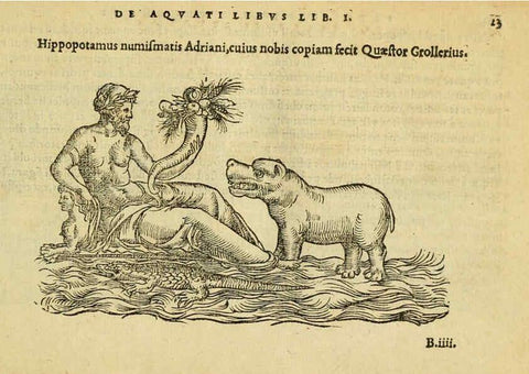 Reproducción/Reproduction 6418672461: Petri Bellonii Cenomani De aquatilibus, libri duo cum [epsilon, iota] conibus ad viuam ipsorum effigiem, quoad eius fieri potuit, expressis ... Parisiis,Apud C. Stephanum,1553