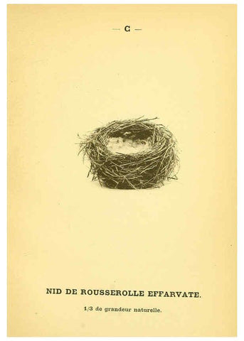 Reproducción/Reproduction 6388904657: Atlas de poche des oiseaux de France, Suisse, et Belgique, utiles ou nuisibles. ser.1 Paris :Librairie des sciences naturelles P. Klincksieck,1898- 