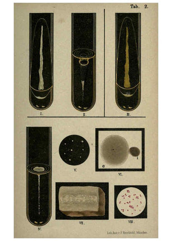 Reproducción/Reproduction 6418447807: Atlas and essentials of bacteriology New York :William Wood & Co.,1897 