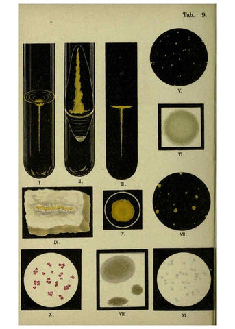 Reproducción/Reproduction 6418451875: Atlas and essentials of bacteriology New York :William Wood & Co.,1897 