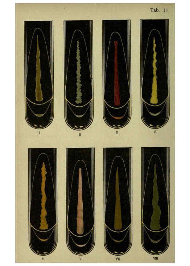 Reproducción/Reproduction 6418452719: Atlas and essentials of bacteriology New York :William Wood & Co.,1897 