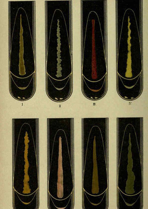 Reproducción/Reproduction 6418452719: Atlas and essentials of bacteriology New York :William Wood & Co.,1897 