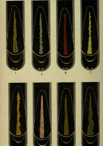 Reproducción/Reproduction 6418452719: Atlas and essentials of bacteriology New York :William Wood & Co.,1897 
