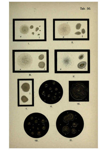 Reproducción/Reproduction 6418478949: Atlas and essentials of bacteriology New York :William Wood & Co.,1897 