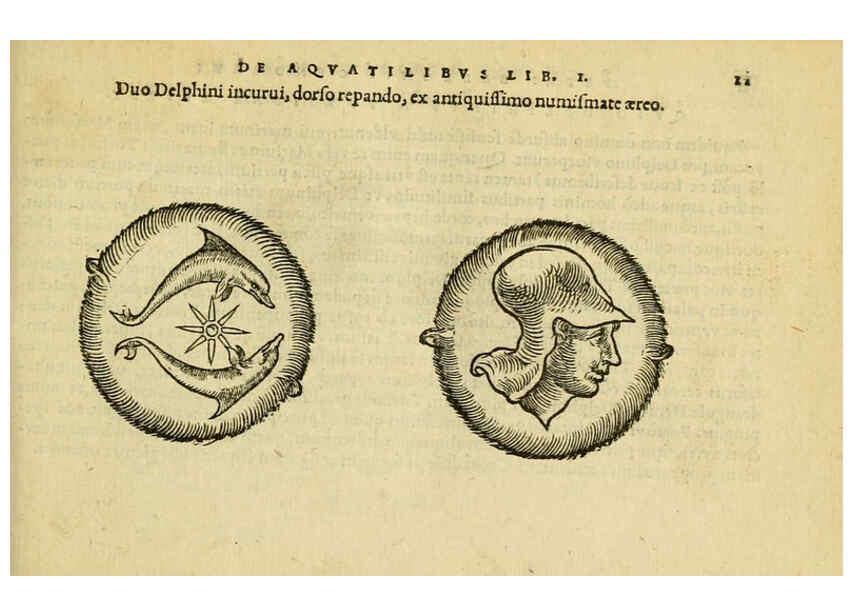 Reproducción/Reproduction 6418670209: Petri Bellonii Cenomani De aquatilibus, libri duo cum [epsilon, iota] conibus ad viuam ipsorum effigiem, quoad eius fieri potuit, expressis ... Parisiis,Apud C. Stephanum,1553