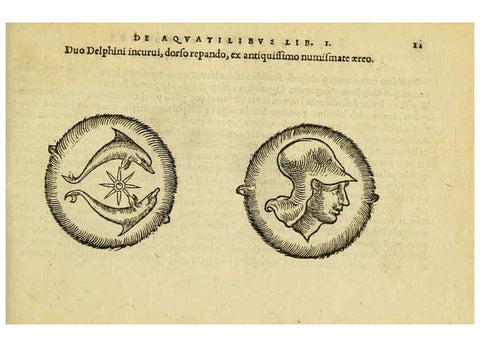 Reproducción/Reproduction 6418670209: Petri Bellonii Cenomani De aquatilibus, libri duo cum [epsilon, iota] conibus ad viuam ipsorum effigiem, quoad eius fieri potuit, expressis ... Parisiis,Apud C. Stephanum,1553