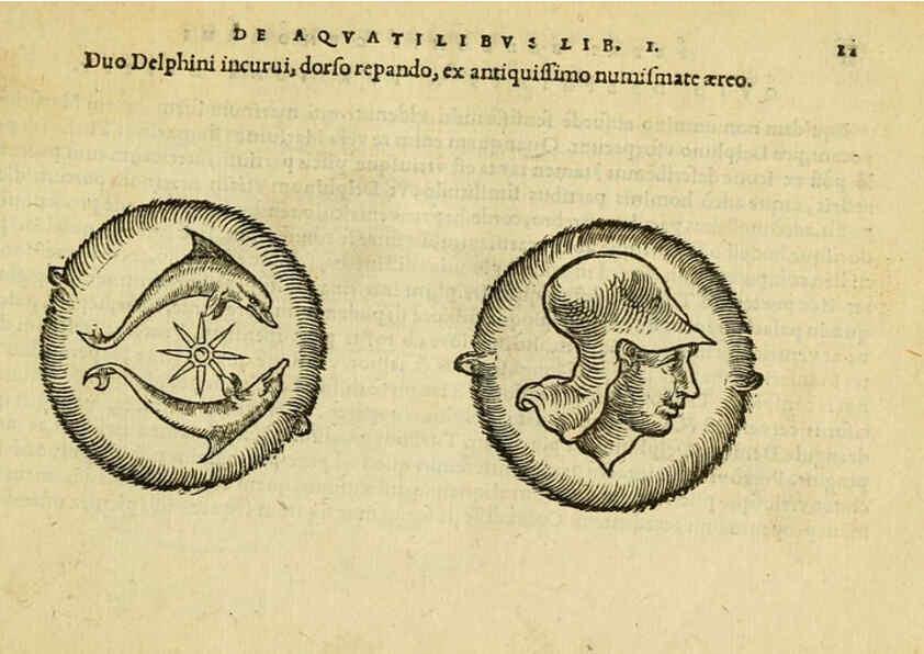 Reproducción/Reproduction 6418670209: Petri Bellonii Cenomani De aquatilibus, libri duo cum [epsilon, iota] conibus ad viuam ipsorum effigiem, quoad eius fieri potuit, expressis ... Parisiis,Apud C. Stephanum,1553