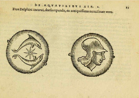 Reproducción/Reproduction 6418670209: Petri Bellonii Cenomani De aquatilibus, libri duo cum [epsilon, iota] conibus ad viuam ipsorum effigiem, quoad eius fieri potuit, expressis ... Parisiis,Apud C. Stephanum,1553