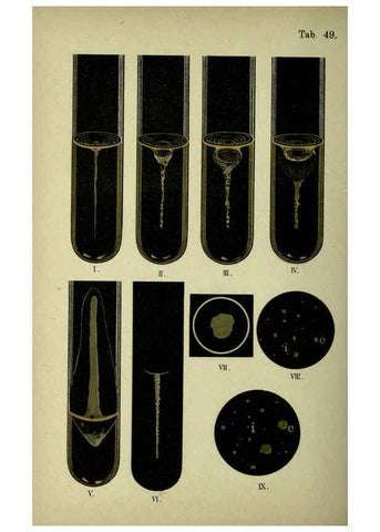 Reproducción/Reproduction 6418478385: Atlas and essentials of bacteriology New York :William Wood & Co.,1897 