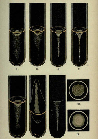Reproducción/Reproduction 6418468031: Atlas and essentials of bacteriology New York :William Wood & Co.,1897 