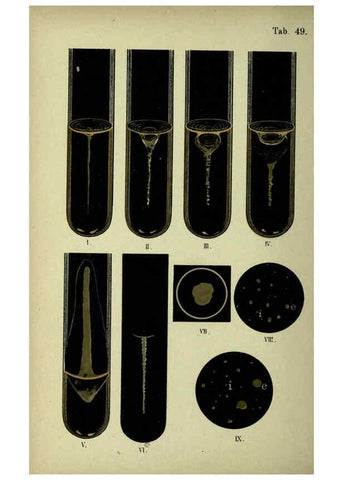 Reproducción/Reproduction 6418474229: Atlas and essentials of bacteriology New York :William Wood & Co.,1897 