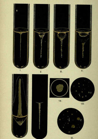 Reproducción/Reproduction 6418474229: Atlas and essentials of bacteriology New York :William Wood & Co.,1897 