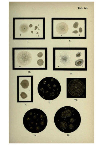 Reproducción/Reproduction 6418474775: Atlas and essentials of bacteriology New York :William Wood & Co.,1897 