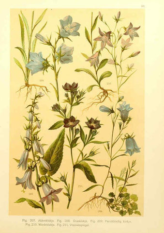 Reproducción/Reproduction 6436792081: Onze flora Zutphen,W.J. Thieme,1900