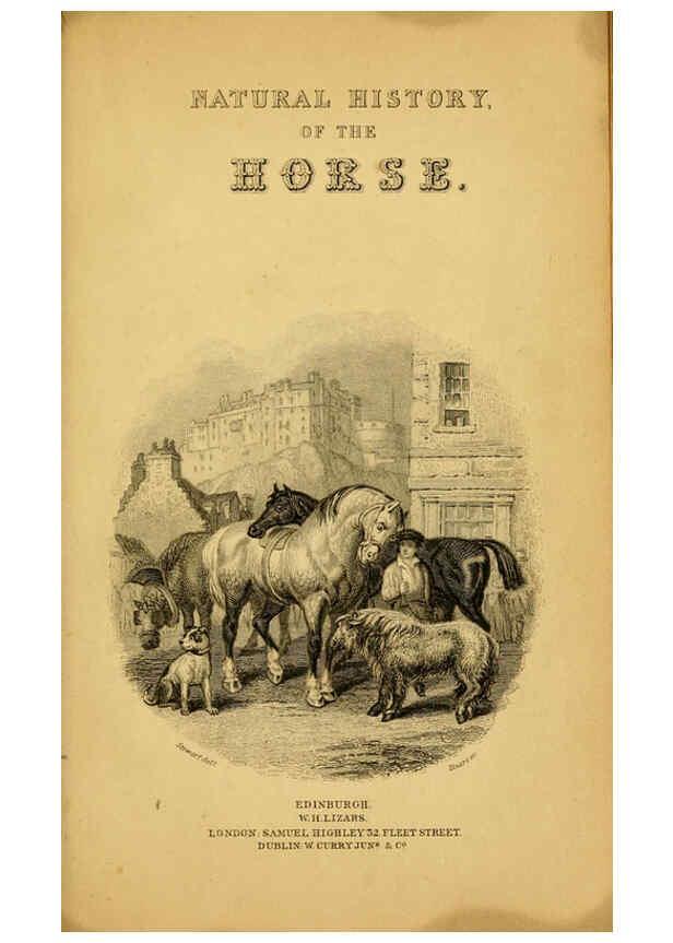 Reproducción/Reproduction 6441422471: The natural history of horses Edinburgh :W.H. Lizars,1841