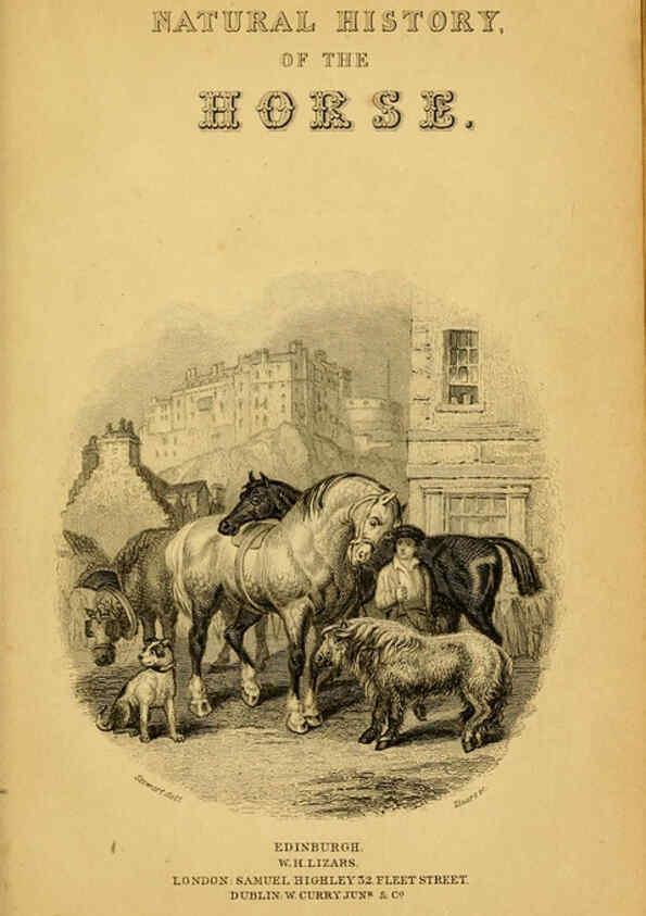 Reproducción/Reproduction 6441422471: The natural history of horses Edinburgh :W.H. Lizars,1841