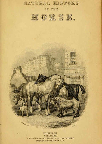 Reproducción/Reproduction 6441422471: The natural history of horses Edinburgh :W.H. Lizars,1841