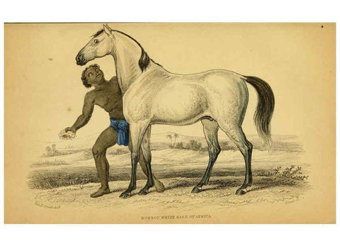 Reproducción/Reproduction 6441424619: The natural history of horses Edinburgh :W.H. Lizars,1841