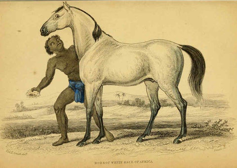 Reproducción/Reproduction 6441424619: The natural history of horses Edinburgh :W.H. Lizars,1841
