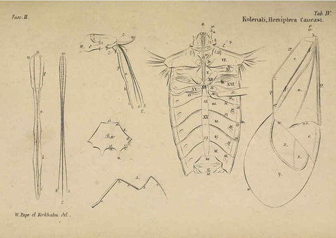 Reproducción/Reproduction 6436380597: Meletemata entomologica. 1-5. Petropoli :Imperialis Academiae Scientiarum,1845-1846