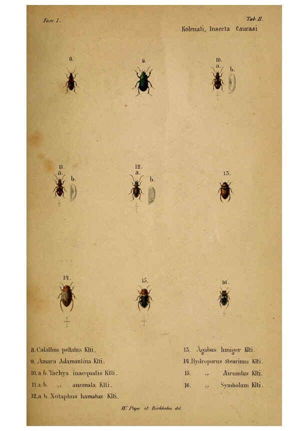 Reproducción/Reproduction 6436379785: Meletemata entomologica. 1-5. Petropoli :Imperialis Academiae Scientiarum,1845-1846