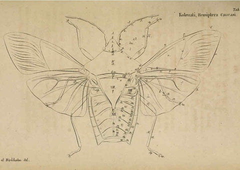 Reproducción/Reproduction 6436380281: Meletemata entomologica. 1-5. Petropoli :Imperialis Academiae Scientiarum,1845-1846