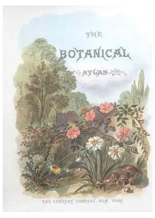 Reproducción/Reproduction 7163893801: The botanical atlas :. New York :The Century Co.,1883.
