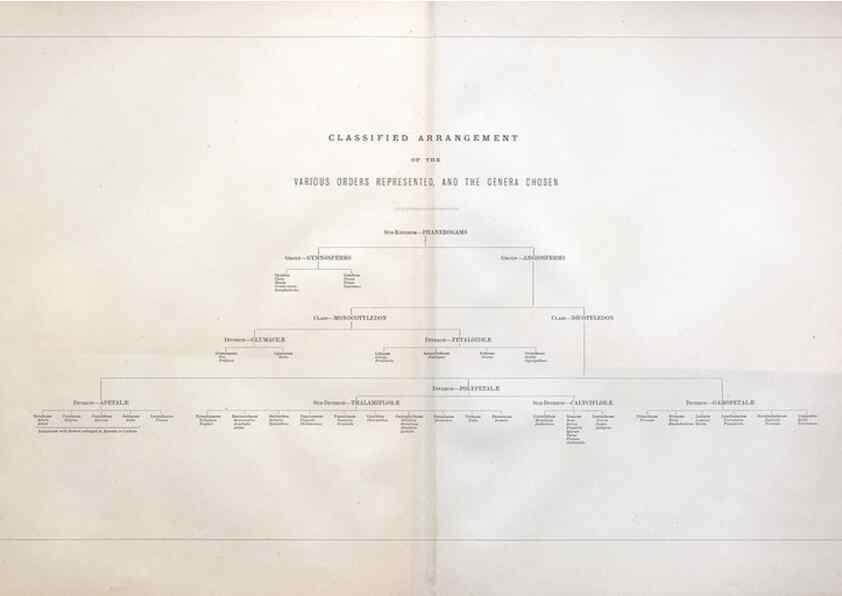 Reproducción/Reproduction 7349129308: The botanical atlas :. New York :The Century Co.,1883.