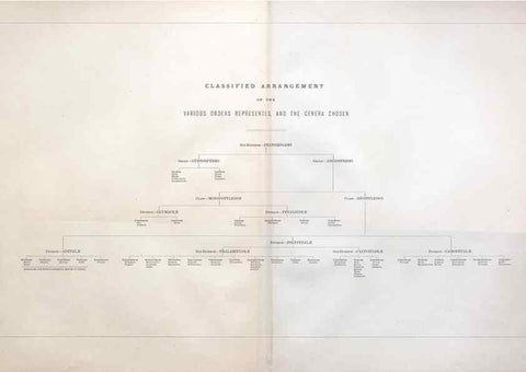 Reproducción/Reproduction 7349129308: The botanical atlas :. New York :The Century Co.,1883.