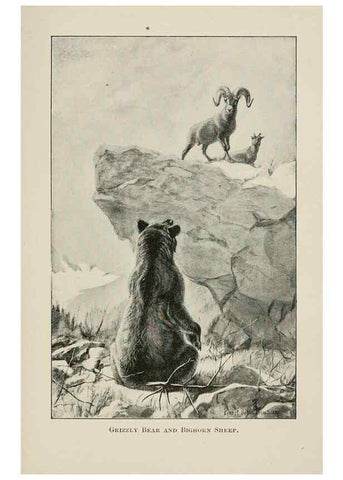 Reproducción/Reproduction 7176422985: Four-footed Americans and their kin /. New York :Macmillan,1898, t.p. 1901.
