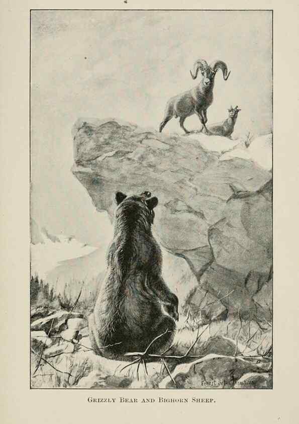 Reproducción/Reproduction 7176422985: Four-footed Americans and their kin /. New York :Macmillan,1898, t.p. 1901.