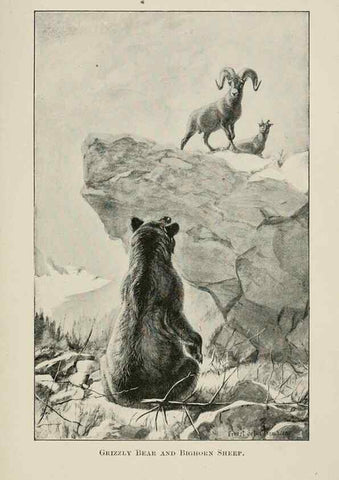 Reproducción/Reproduction 7176422985: Four-footed Americans and their kin /. New York :Macmillan,1898, t.p. 1901.