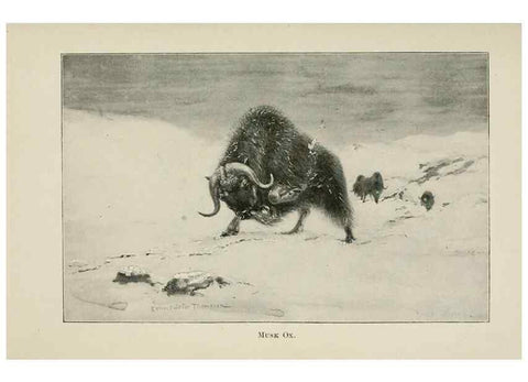 Reproducción/Reproduction 7361650544: Four-footed Americans and their kin /. New York :Macmillan,1898, t.p. 1901.
