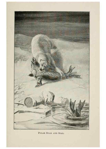 Reproducción/Reproduction 7361651612: Four-footed Americans and their kin /. New York :Macmillan,1898, t.p. 1901.