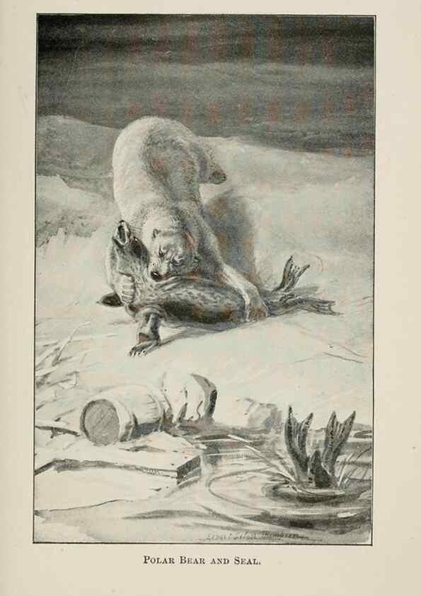 Reproducción/Reproduction 7361651612: Four-footed Americans and their kin /. New York :Macmillan,1898, t.p. 1901.