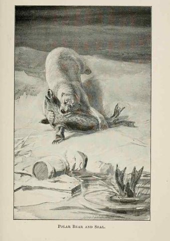 Reproducción/Reproduction 7361651612: Four-footed Americans and their kin /. New York :Macmillan,1898, t.p. 1901.