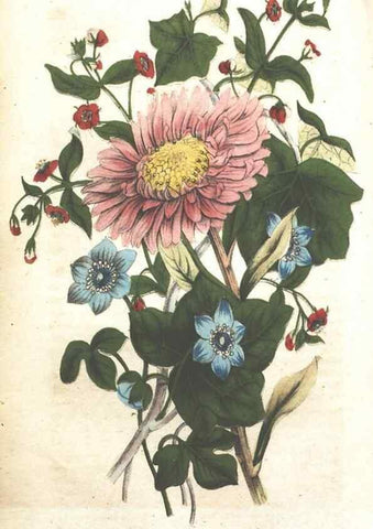 Reproducción/Reproduction 7166334913: The illustrated botany :. New York :J.K. Wellman,1846-1847.