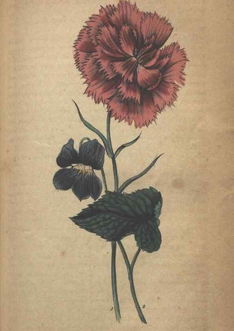 Reproducción/Reproduction 7166410791: The illustrated botany :. New York :J.K. Wellman,1846-1847.