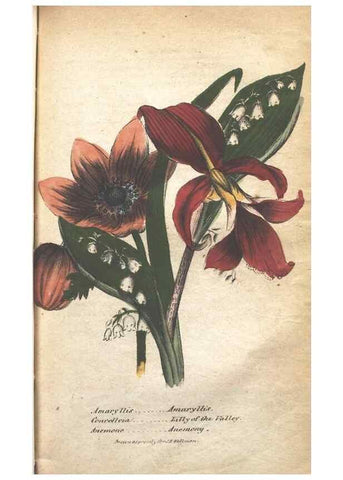Reproducción/Reproduction 7351558400: The illustrated botany :. New York :J.K. Wellman,1846-1847.