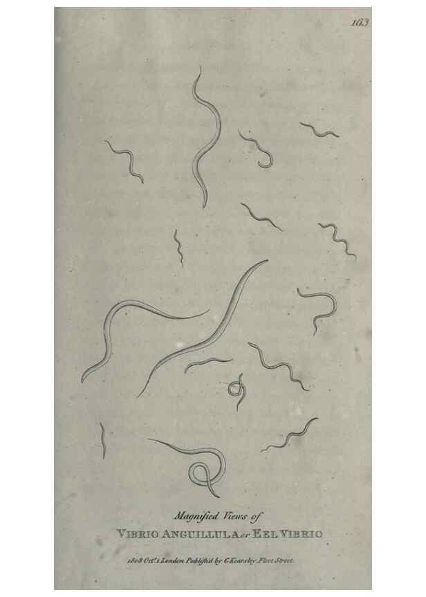 Reproducción/Reproduction 7344951518: Zoological lectures delivered at the Royal Institution. London,Kearsley,1809.