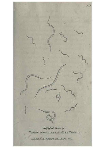 Reproducción/Reproduction 7344951518: Zoological lectures delivered at the Royal Institution. London,Kearsley,1809.